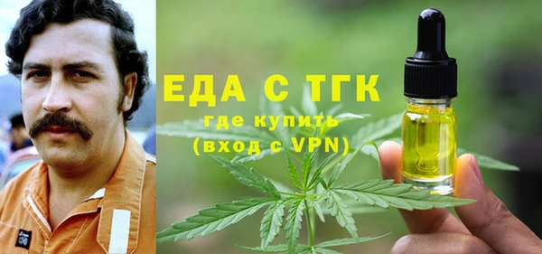 молекула духа Вяземский