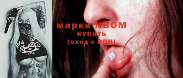 молекула духа Вяземский