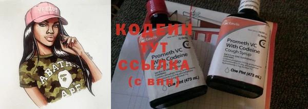 молекула духа Вяземский