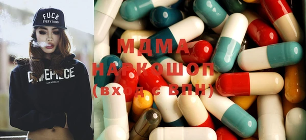молекула духа Вяземский