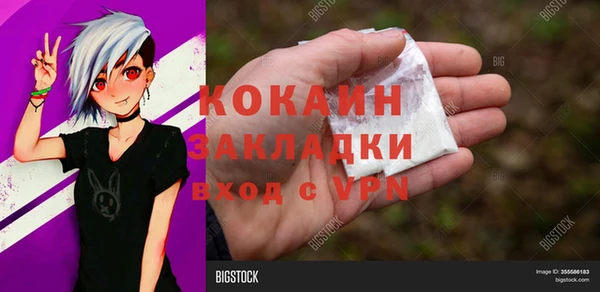 молекула духа Вяземский