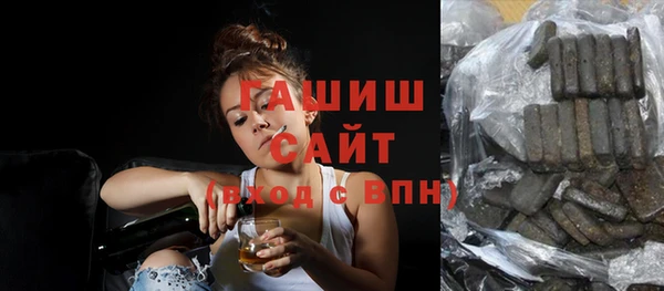 молекула духа Вяземский