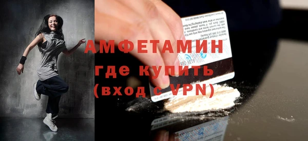 молекула духа Вяземский