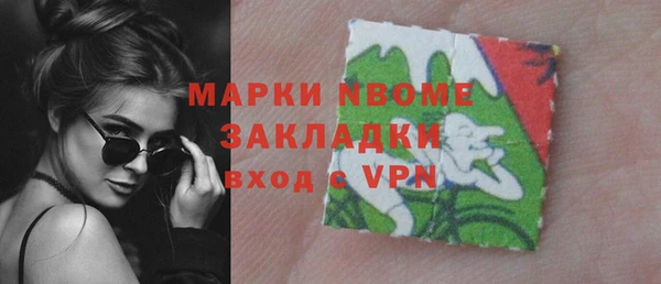 молекула духа Вяземский