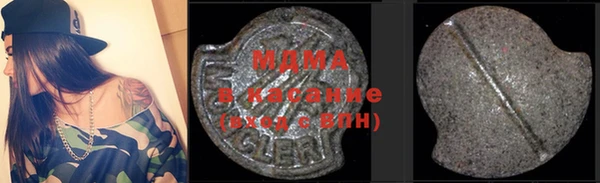 молекула духа Вяземский