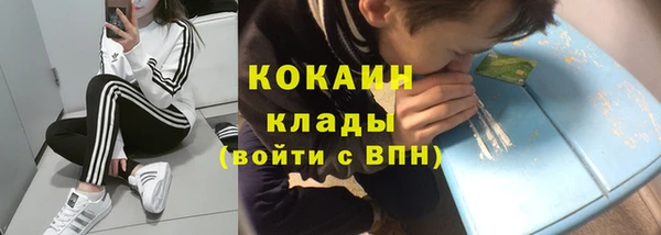 mix Тайга