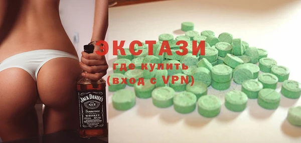 молекула духа Вяземский