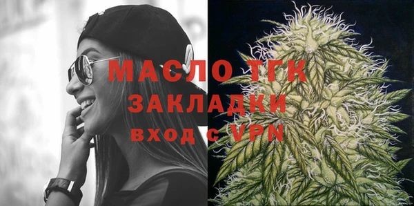 молекула духа Вяземский