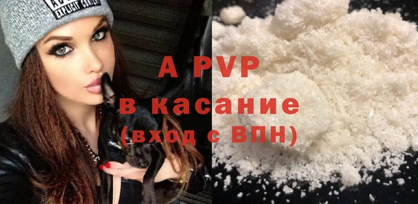 молекула духа Вяземский