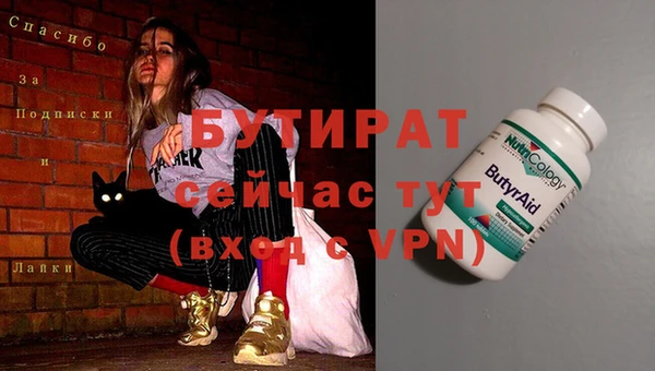 молекула духа Вяземский
