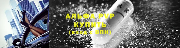 молекула духа Вяземский