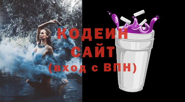 молекула духа Вяземский