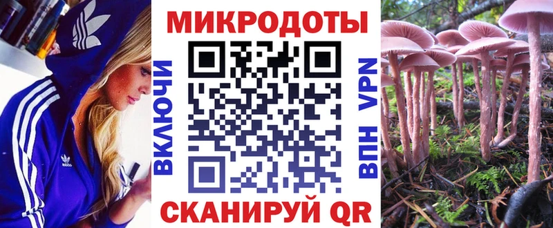 Псилоцибиновые грибы Psilocybe  ссылка на мегу маркетплейс  Белгород  магазин   